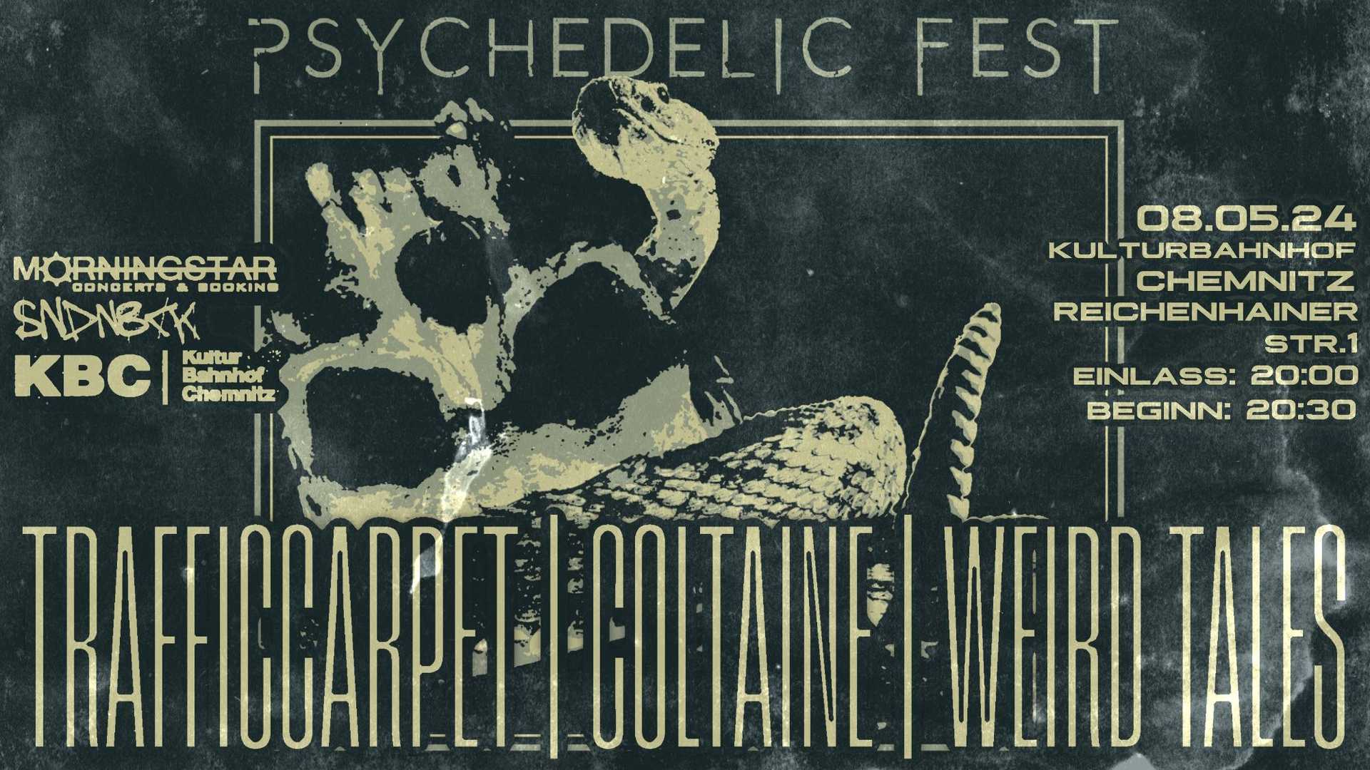 Psychedelic Fest 